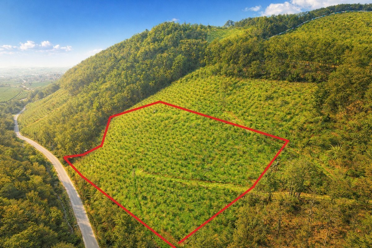 D�ZCE MUNCURLU DA 13.571M2 SATILIK TARLA